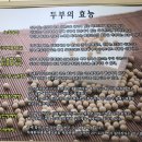 올레길에국수잔치 이미지