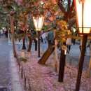 그린바다 이미지