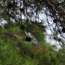 양평-용문-용문-5 이미지