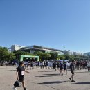 260531 여의도 밤섬 마라톤대회. 이미지