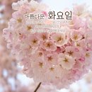 화요일 이미지
