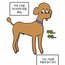 푸들푸들 이미지
