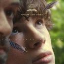 (주)스튜디오애니멀 네이버블로그