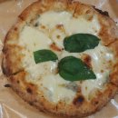 피자마리 이미지