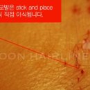 벨루스헤어 - 성북구 보국문로16길 2 | 벨루스헤어