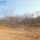 당진보건소 인근 이미지