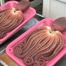 감포의원 이미지