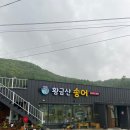 대전 드라이브 맛집 진악산 가다 들른 금산 송어 황금산송어 후기