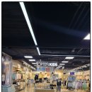 야옹아 멍멍해봐 동탄하나로점 | [2동탄 영천동 농협 하나로마트 둘러보기] 어떤 매장들이 입점해 있나 궁금, 가게 점포들 소개