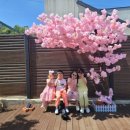로얄패밀리 이미지