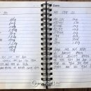 라이차이 이미지