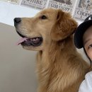 월드애견 | [수원인계동애견카페] 강아지들을 위한 곳, 댕더월드 방문 후기 🐾✨