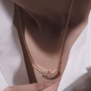 비아디