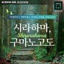 한진 이미지