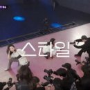 스타일레이블