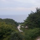 안인진 임해 이미지