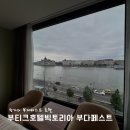 호텔 빅토리아 | 부다페스트 국회의사당뷰 가성비 호텔 &#39;부티크호텔빅토리아부다페스트&#39; 후기
