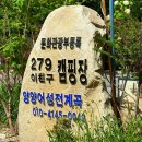 강원도계곡캠핑장 추천 : 양양 청정 일급수 법수치계곡 어성전계곡 279캠핑장 - 애견동반가능 양양캠핑장