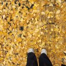 신사2-047 이미지