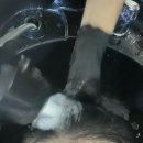 화실헤어 | 금천동 미용실 빛,화실헤어살롱 새치염색 후기