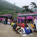가수천 Daum카페
