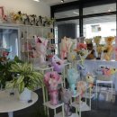 어반가든스튜디오 이미지