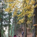 광교장내과의원 이미지