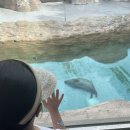 남일어린이공원 이미지