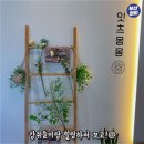 카페몽몽 이미지