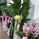 새희망행정사사무소 이미지