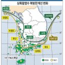 활엽수