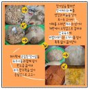 진명장어탕 후기