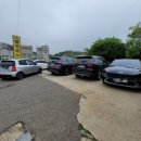 김종수 멸치국수 이미지