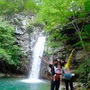 수아사슴농장 이미지