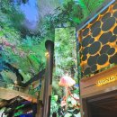 돌고래게임장 이미지