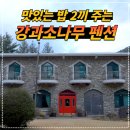 강과소나무 | 강원도 펜션 밥주는펜션 정선 강과소나무_ 달팽이호텔 촬영지