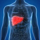 강동내과의원 이미지