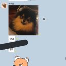 태형 이미지
