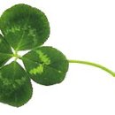 네에게로 이미지