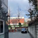 유진 스크린골프장 | [역삼 / 강남 골프] 역삼 골프존, 주말 스크린 골프장 추천. 골린이 스크린 게임 후기♡