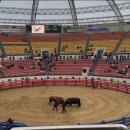 소싸움경기장 | 청도 소싸움 경기장 &amp; 소싸움 미디어 체험관 방문 후기｜아이와 함께 명절 연휴 색다른 경험