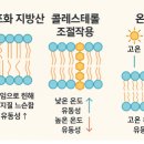 생명과학(B) | [공지] 2024학년도 중앙대학교 의대편입·약대편입·생명과학과 편입생물 기출문제 1번 - 15번