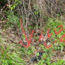 해피데이공인중개사사무소 이미지