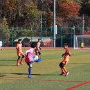 백암다목적운동장 이미지