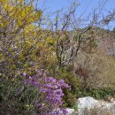 한덕농장 이미지