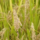 사천시외버스터미널 이미지