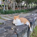월산마을4단지부영아파트(411~416)[장유19차] | 김해 수전교체 잘하는 곳!-장유 율하 내외동 주촌