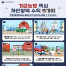 대한농장1 이미지