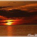 비 개인 후 이미지