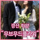 한송이유치원 | 경산 하양 꽃집 무브무드플라워 웨딩촬영부케 야외촬영부케 추천